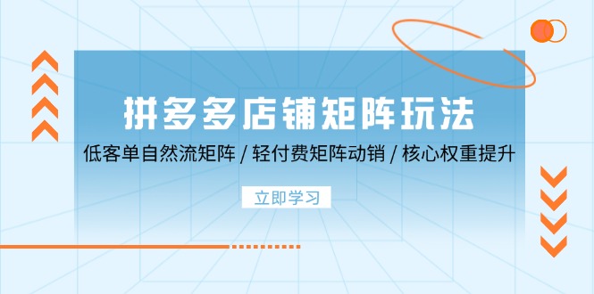 拼多多店铺矩阵玩法：低客单自然流矩阵 / 轻付费矩阵 动销 / 核心权重提升-财富课程