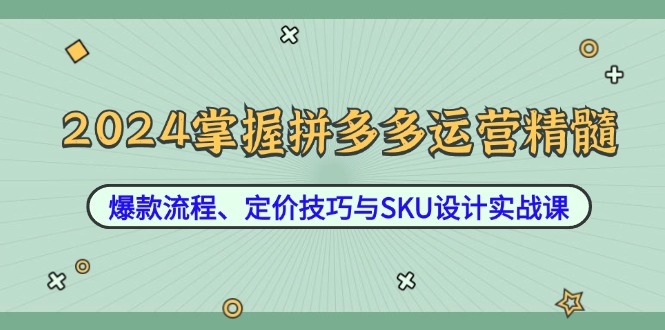 2024掌握拼多多运营精髓：爆款流程、定价技巧与SKU设计实战课-财富课程