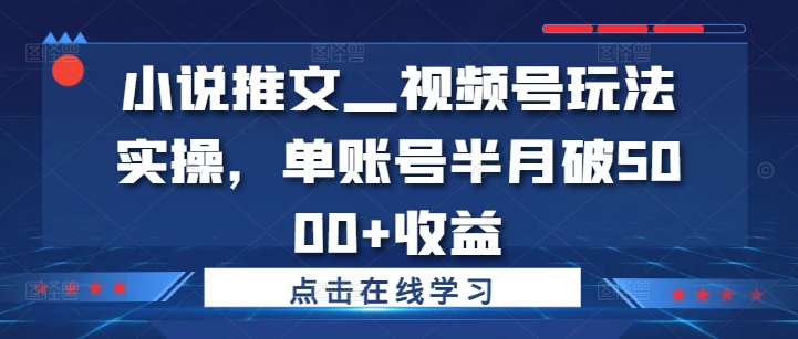 小说推文—视频号玩法实操，单账号半月破5000+收益-财富课程