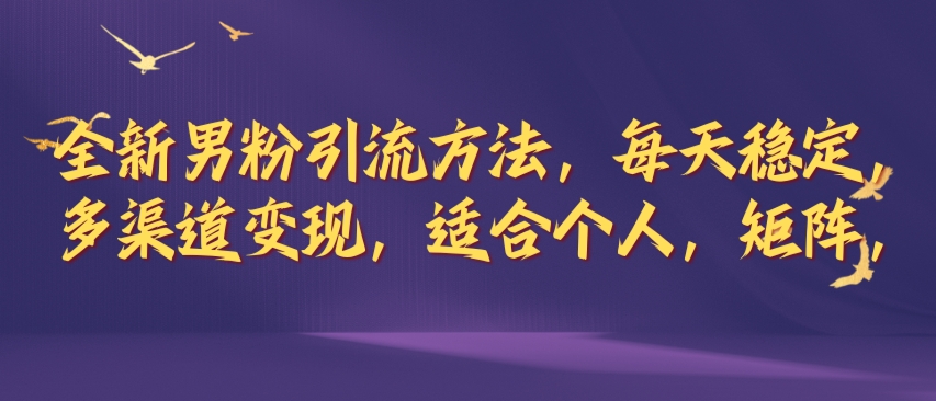 全新男粉引流方法，每天稳定加人，适合个人，矩阵，多渠道变现-财富课程