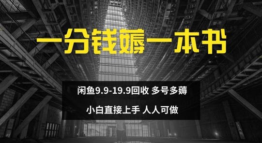 一分钱薅一本书 闲鱼9.9-19.9回收 多号多薅 小白直接上手-财富课程