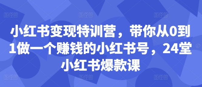 小红书的转现夏令营，陪你从0到1做一个挣钱的小红书号，24堂小红书爆款课-财富课程