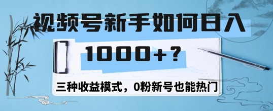 微信视频号新手怎么日入1k？三种盈利方式，0粉小号也可以受欢迎-财富课程