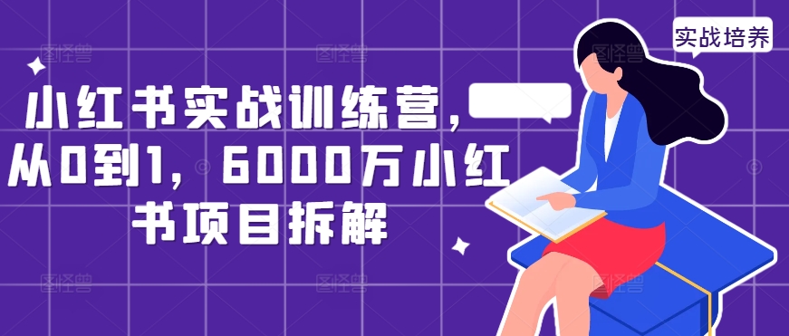 小红书的实战演练夏令营，从0到1，6000万小红书的新项目拆卸-财富课程