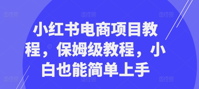 小红书电商新项目实例教程，家庭保姆级实例教程，新手也可以简易入门-财富课程