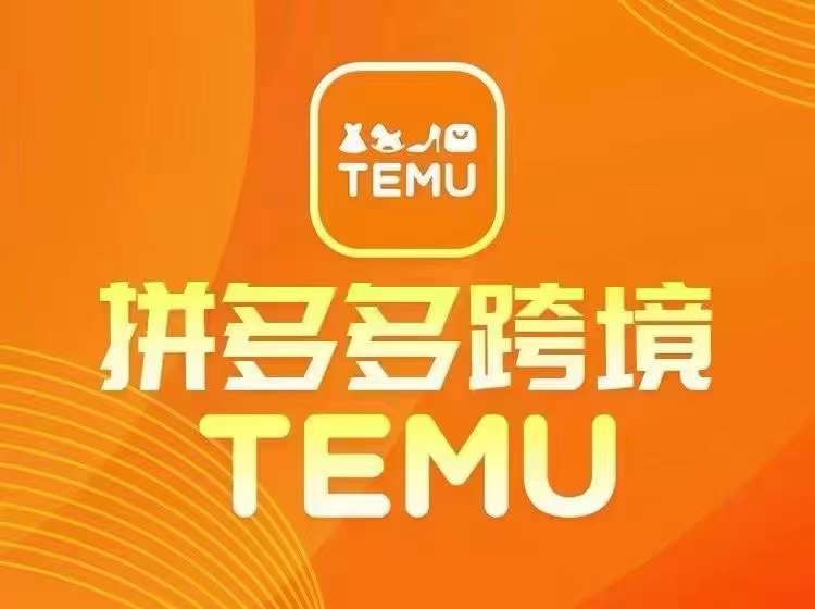 全新TEMU拼多多平台跨境电商实例教程，开实体店、经营、选款-财富课程