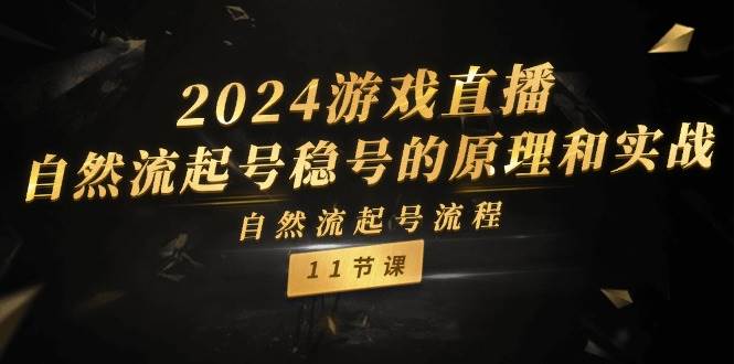 2024游戏直播-自然流起号稳号的原理和实战，自然流起号流程（11节）-财富课程