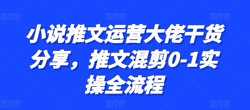 小说推文经营巨头满满干货，文章剪辑0-1实际操作全过程-财富课程