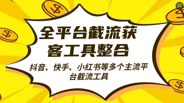 全网平台截留拓客工县融合自动式引流方法，日引2000 潜在客户【揭密】-财富课程