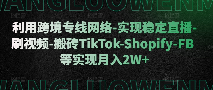 运用跨境专线互联网-实现稳定直播间-刷短视频-打金TikTok-Shopify-FB等实现月入2W 【揭密】-财富课程