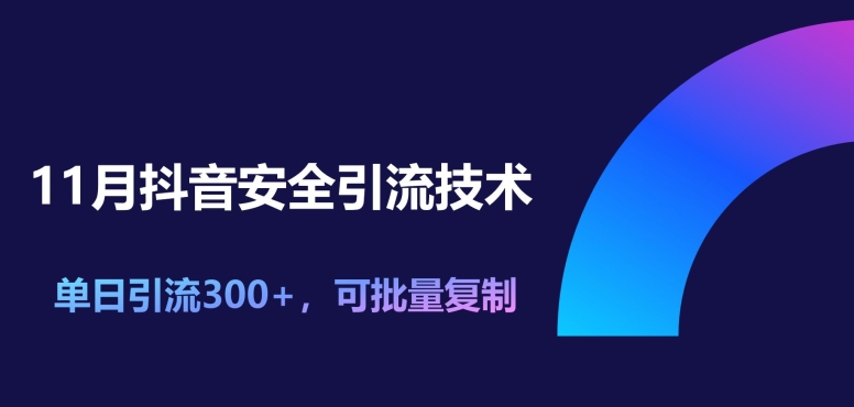 11月抖音安全引流技术，单日引流方法300 ，可快速复制-财富课程