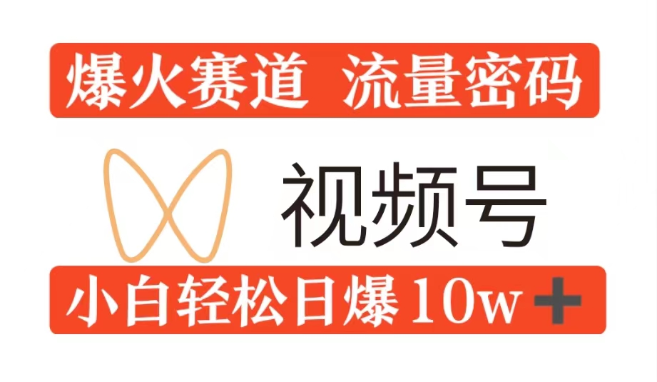 0粉在视频号爆火赛道流量密码，模式全方位，小白轻松日爆10w+流量-财富课程