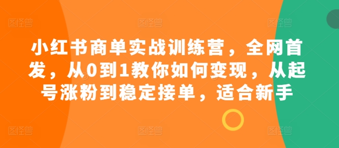 小红书的商单实战演练夏令营，独家首发，从0到1教大家如何盈利，从养号增粉到平稳接单子，适合新手-财富课程