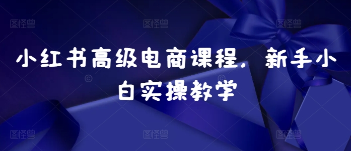 小红书高级电商课程，新手小白实操教学-财富课程