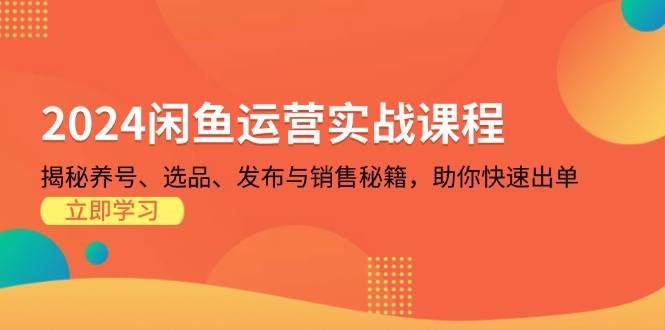 2024闲鱼运营实战课程：揭秘养号、选品、发布与销售秘籍，助你快速出单-财富课程