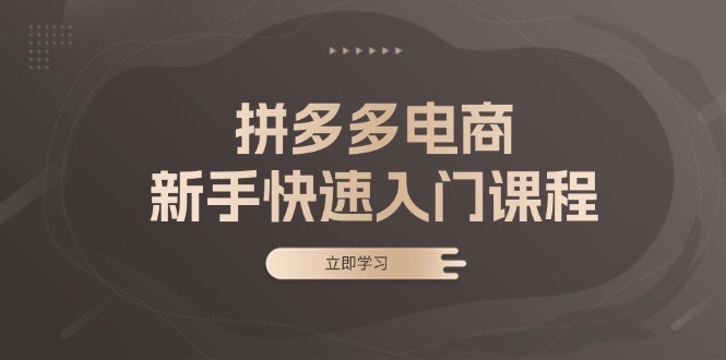 拼多多电商新手快速入门课程：涵盖基础、实战与选款，助力小白轻松上手-财富课程