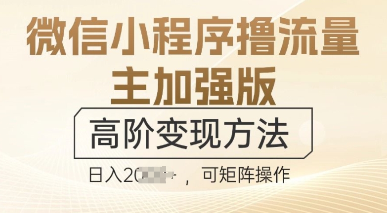 微信小程序撸流量主加强版，高阶变现方法，日收益多张-财富课程