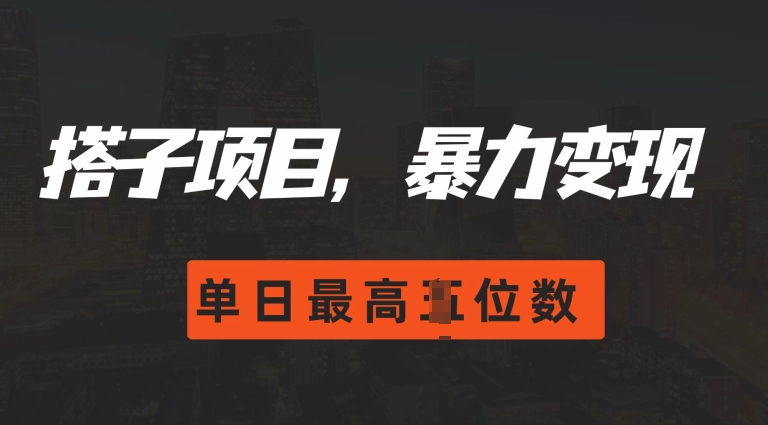 2024搭子玩法，0门槛，暴力变现，单日最高破四位数【揭秘】-财富课程