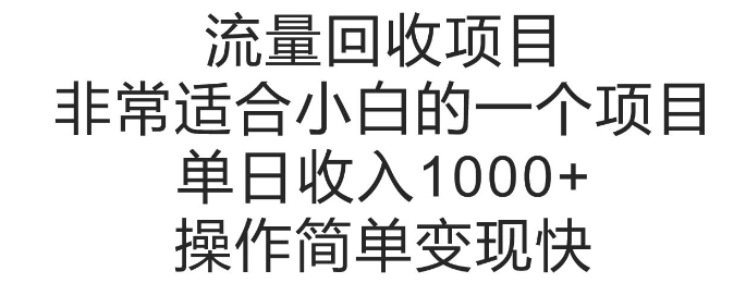 流量回收项目，非常适合小白的一个项目单日收入多张，操作简单变现快-财富课程