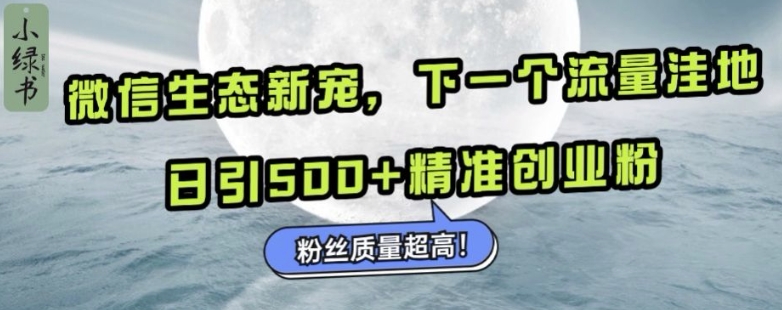 微信生态圈新欢小绿书：下一个流量洼地，日引500 精确自主创业粉，粉丝们品质极高-财富课程