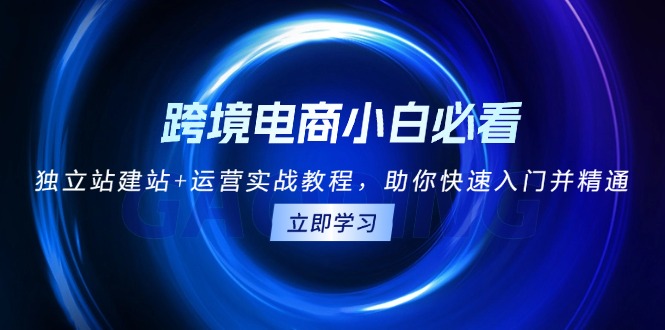 跨境电商小白必看！独立站建站+运营实战教程，助你快速入门并精通-财富课程