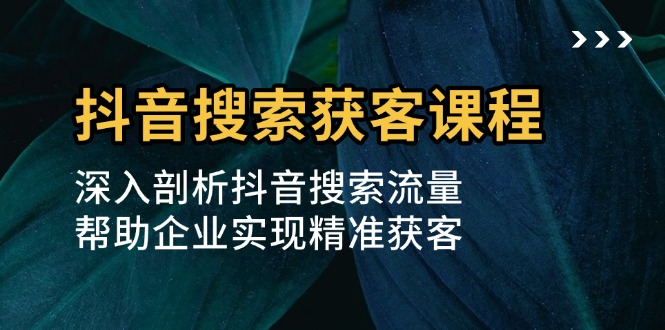 抖音搜索获客课程：深入剖析抖音搜索流量，帮助企业实现精准获客-财富课程