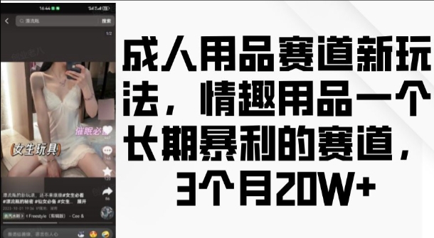 成人用品赛道新玩法，情趣用品一个长期暴利的赛道，3个月收益20个【揭秘】-财富课程