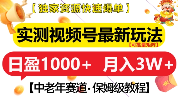 实测视频号最新玩法，中老年赛道，独家资源，月入过W+【揭秘】-财富课程