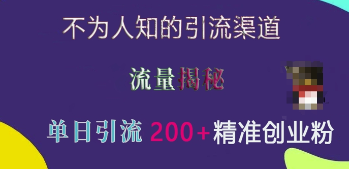 不为人知的引流渠道，流量揭秘，实测单日引流200+精准创业粉【揭秘】-财富课程