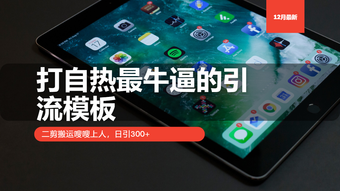 打自热最牛逼的引流模板，二剪搬运嗖嗖上人，日引300+-财富课程