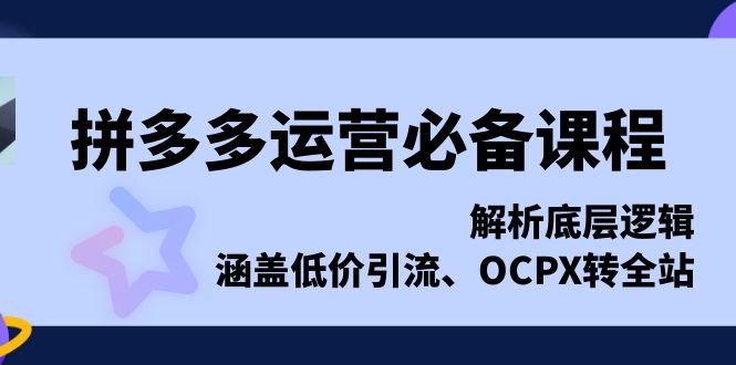 拼多多运营必备课程，解析底层逻辑，涵盖低价引流、OCPX转全站-财富课程