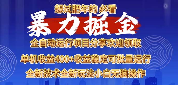 2025暴力掘金项目，想过肥年必看！-财富课程