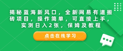 揭秘蓝海新风口，全新网易有道搬砖项目，操作简单，可直接上手，实测日入2张，保姆及教程-财富课程