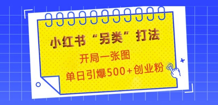 小红书“另类”打法，开局一张图，单日引爆500+精准创业粉【揭秘】-财富课程