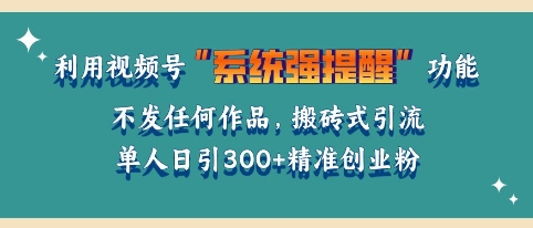 利用微信视频号系统提醒功能，引流精准创业粉，无需发布任何作品，单人单日引流300+创业粉-财富课程