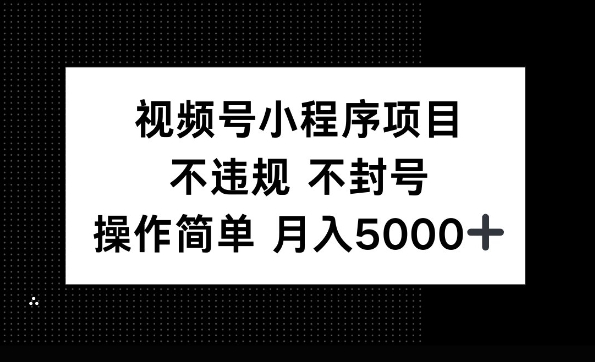 视频号小程序项目，不违规不封号，操作简单 月入5000+-财富课程