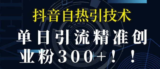 抖音自热引流，单日引流精准创业粉300+-财富课程