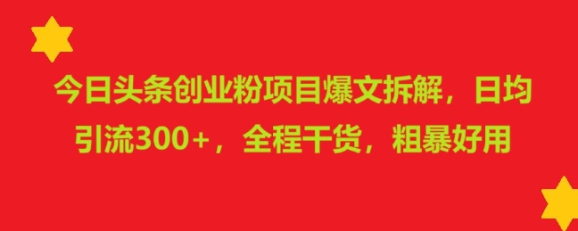 今日头条创业粉项目爆文拆解，日均引流300+，全程干货，粗暴好用-财富课程