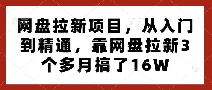 网盘拉新项目，从入门到精通，靠网盘拉新3个多月搞了16W-财富课程