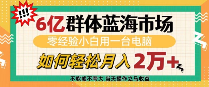 6亿群体蓝海市场，零经验小白用一台电脑，如何轻松月入过w【揭秘】-财富课程