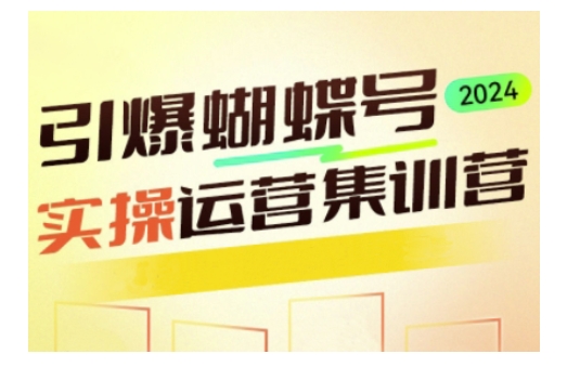 引爆蝴蝶号实操运营，助力你深度掌握蝴蝶号运营，实现高效实操，开启流量变现之路-财富课程