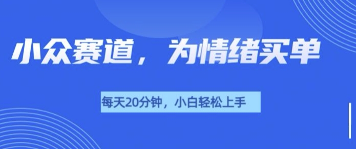 小众赛道，我的治愈系电子抱枕，让用户为情绪买单-财富课程