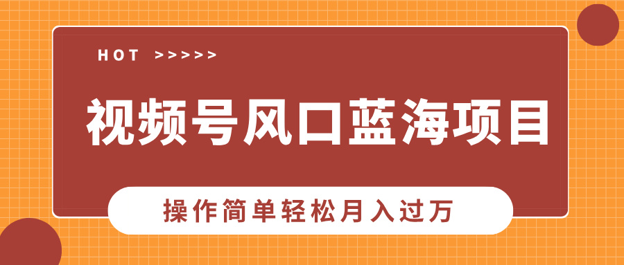 视频号风口蓝海项目，中老年人的流量密码，操作简单轻松月入过W-财富课程