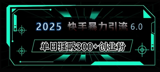 2025年快手6.0保姆级教程震撼来袭，单日狂吸300+精准创业粉-财富课程