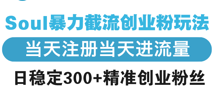 Soul暴力截流创业粉玩法，当天注册当天进流量，日稳定300+精准创业粉丝-财富课程