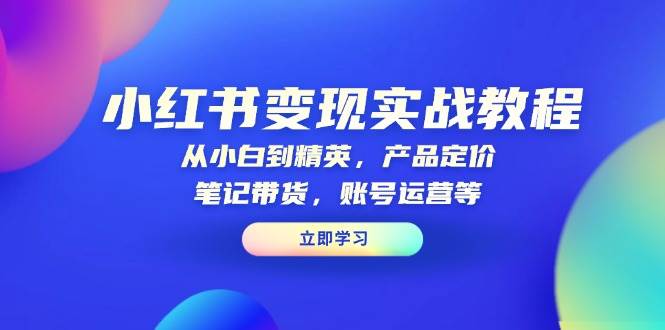 小红书变现实战教程：从小白到精英，产品定价，笔记带货，账号运营等-财富课程