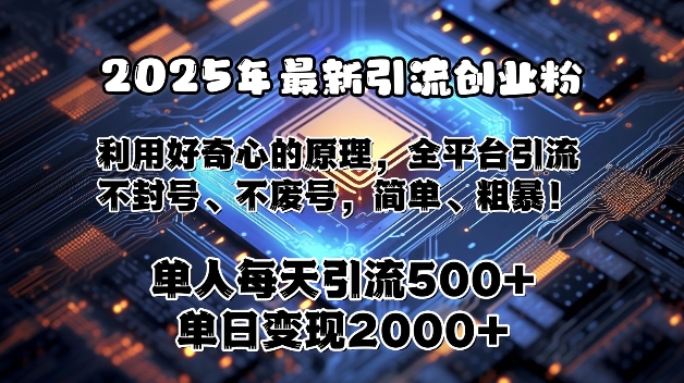 2025年最新引流创业粉，利用好奇心的原理，全平台引流，不封号、不废号，简单、粗暴-财富课程